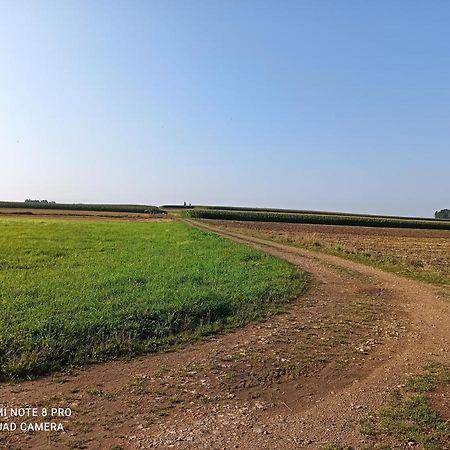 Dom Z Ogrodem Villa Laka  Bagian luar foto
