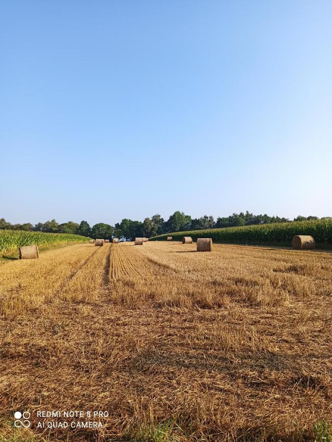 Dom Z Ogrodem Villa Laka  Bagian luar foto