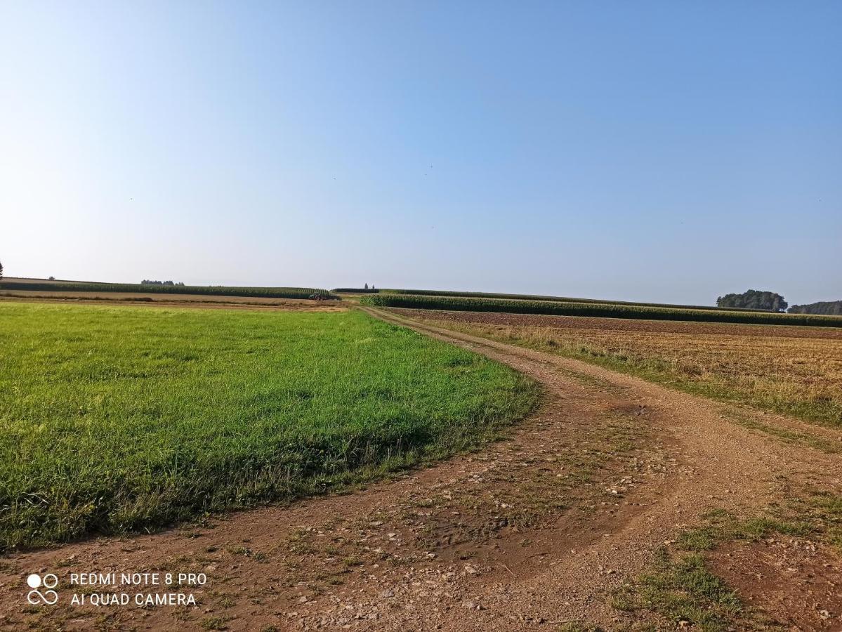Dom Z Ogrodem Villa Laka  Bagian luar foto